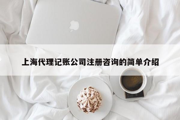 上海代理记账公司注册咨询的简单介绍